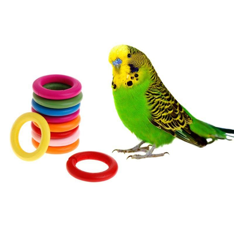 10 Pièces En Bois Anneau De Morsure D'oiseau Jouets