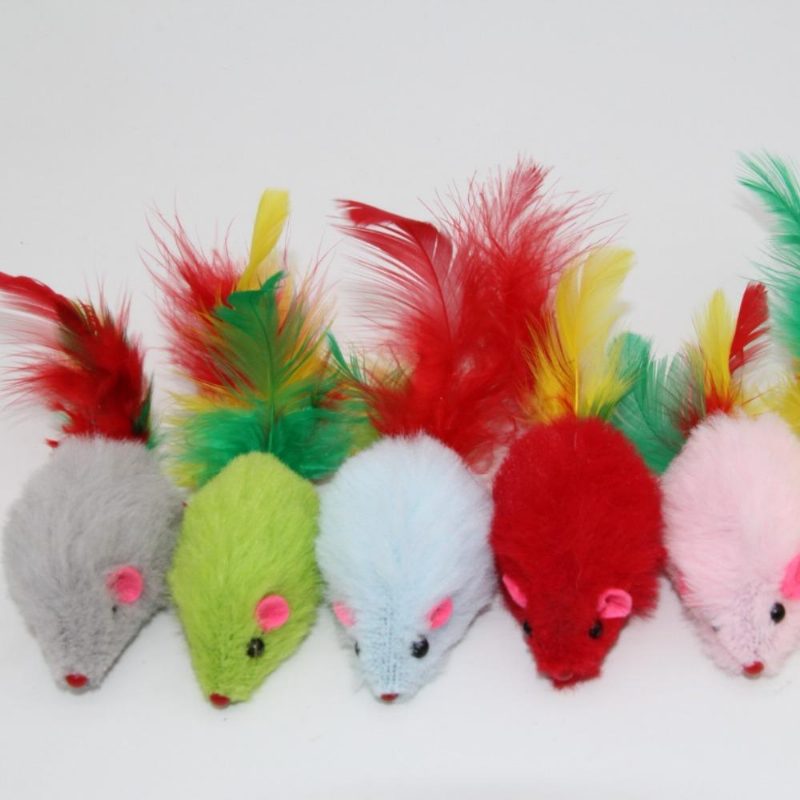 10pcs Chats Souris Jouets