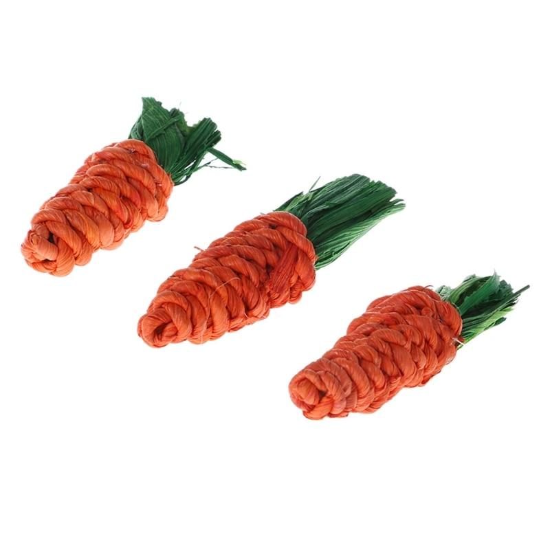 3pcs Jouets De Morsure De Lapin En Forme De Carotte