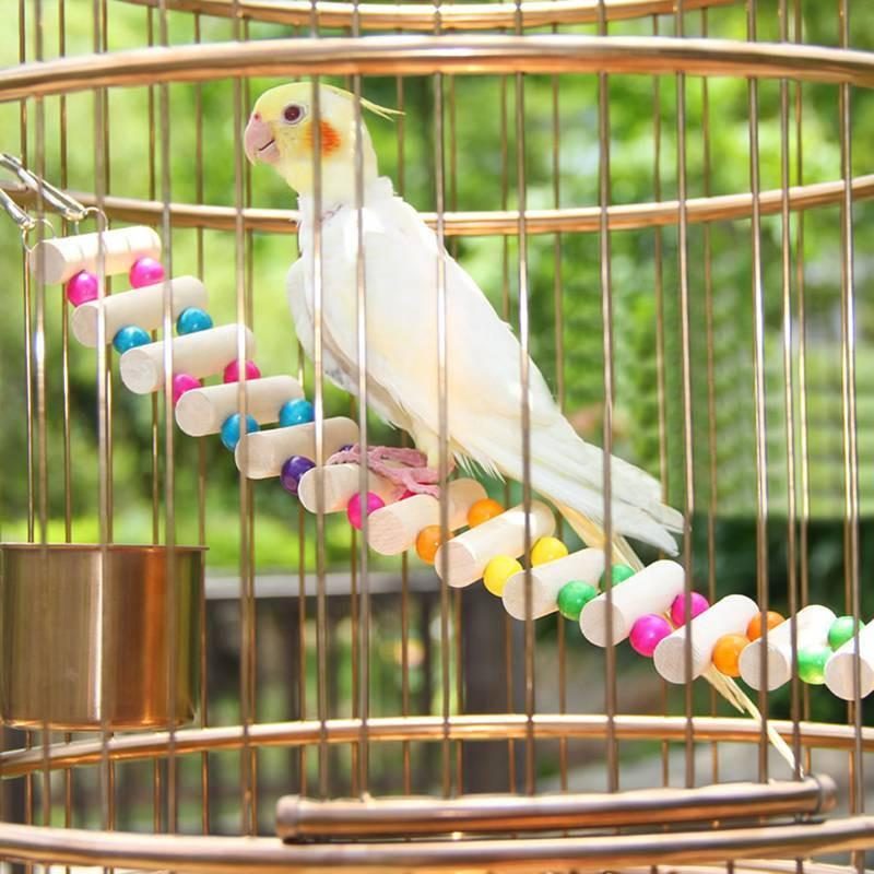 4 Styles De Petits Oiseaux Jouets Accessoires De Jouets Pour Animaux De Compagnie