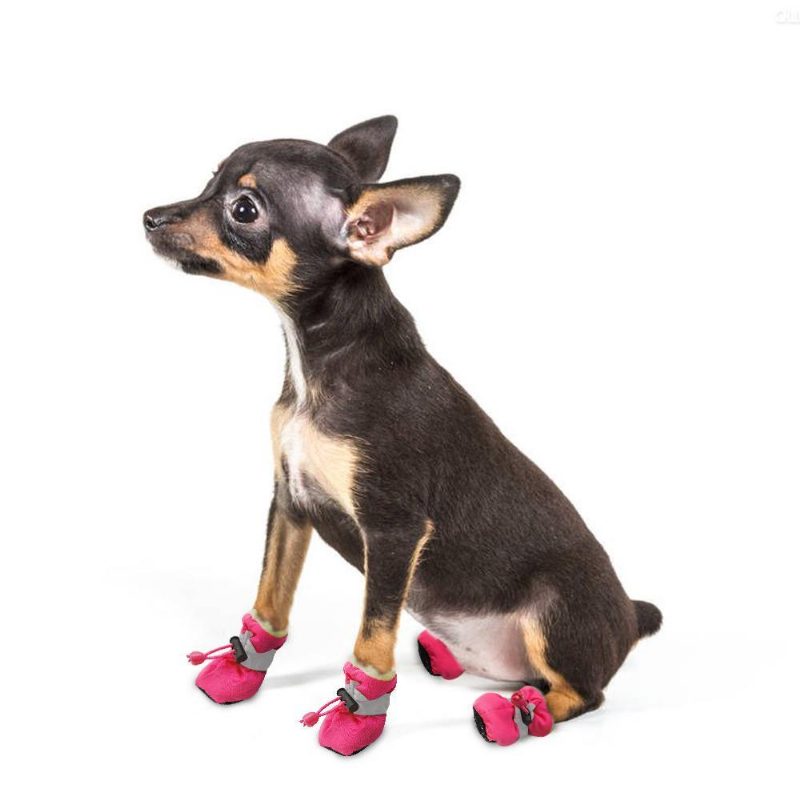 4pcs Chaussures De Chien Imperméables Et Antidérapantes