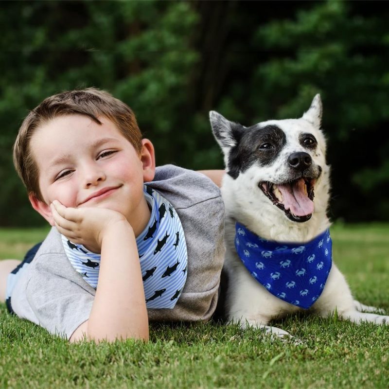 4pcs Colliers Bandana Réglables Pour Chiots