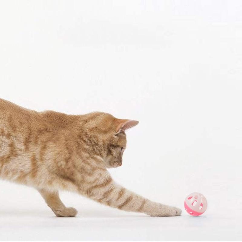 5 Boules De Jouet Pour Chat Avec Anneau