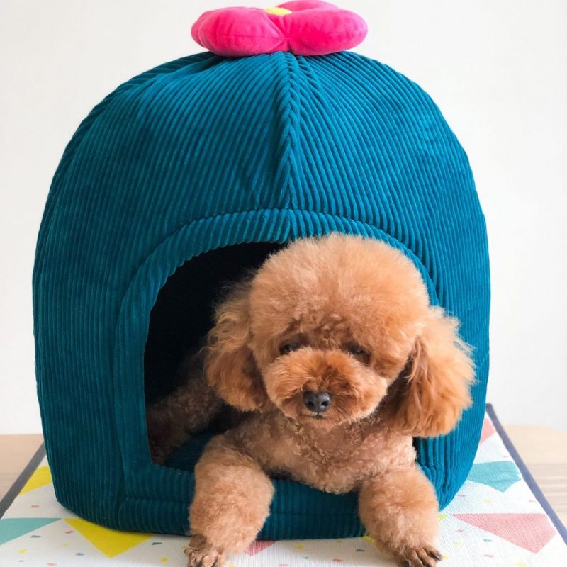 Adorable Maison Troglodyte Pour Animaux De Compagnie