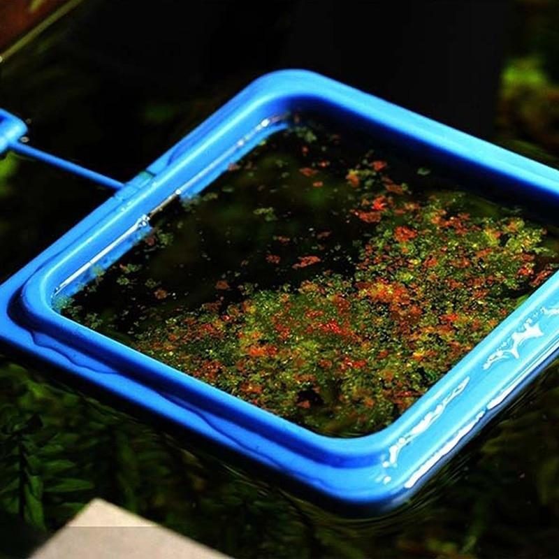 Anneau D'alimentation Pour Poissons D'aquarium