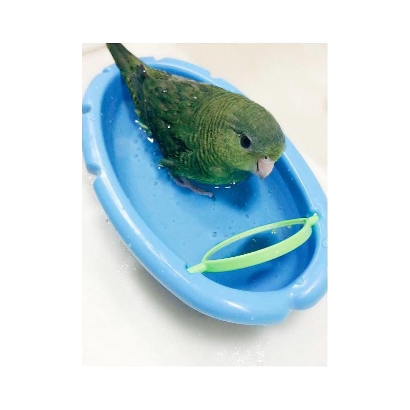 Baignoire D'oiseau Avec Jouet Miroir