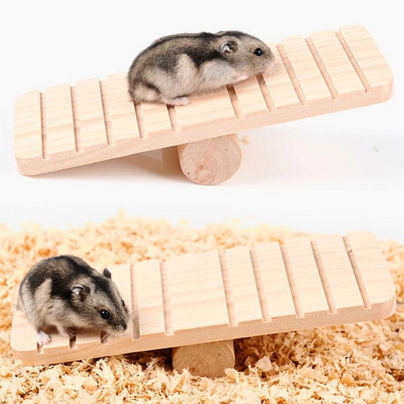 Balançoire Hamster