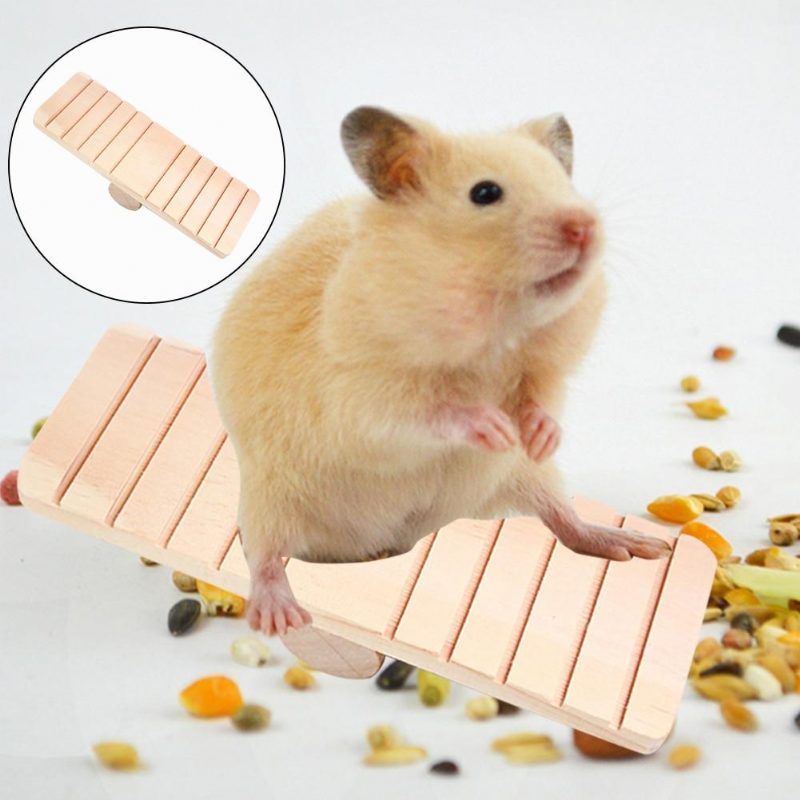 Balançoire Hamster