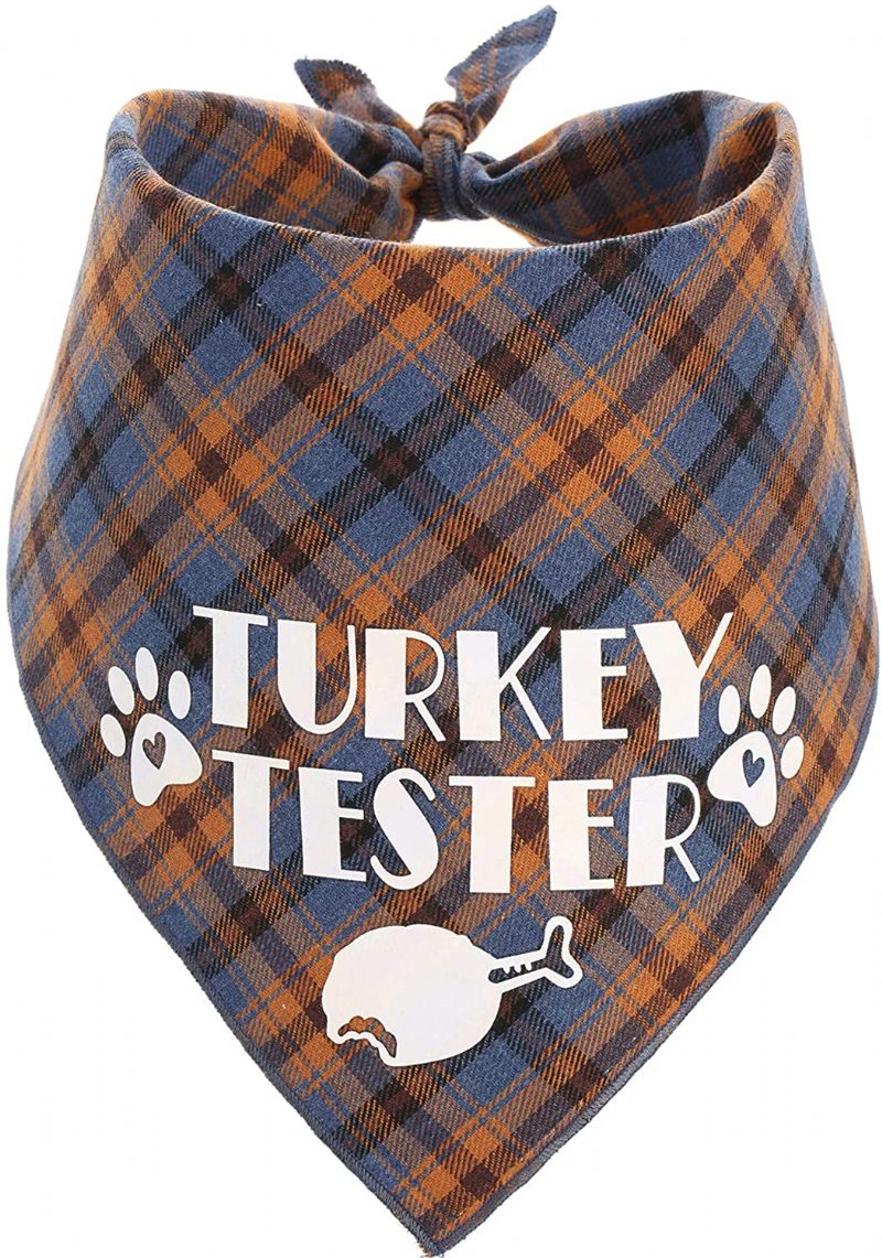 Bandana De Thanksgiving Pour Dégustateur De Dinde