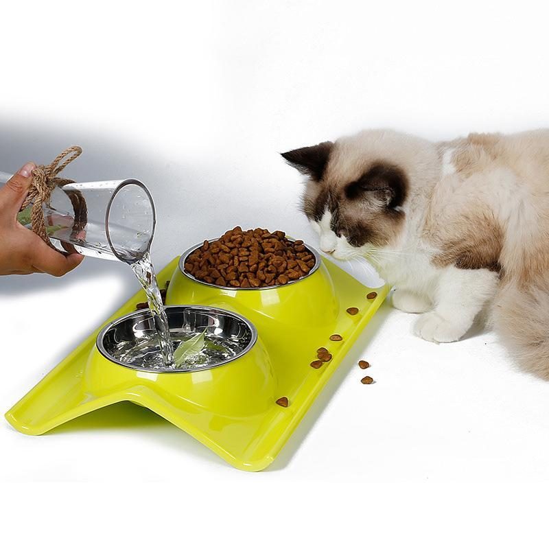 Bassin D'alimentation En Eau Et En Nourriture Pour Chat