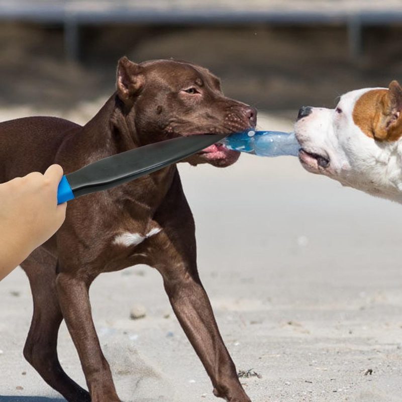 Bâton De Pause Professionnel Pour Chien