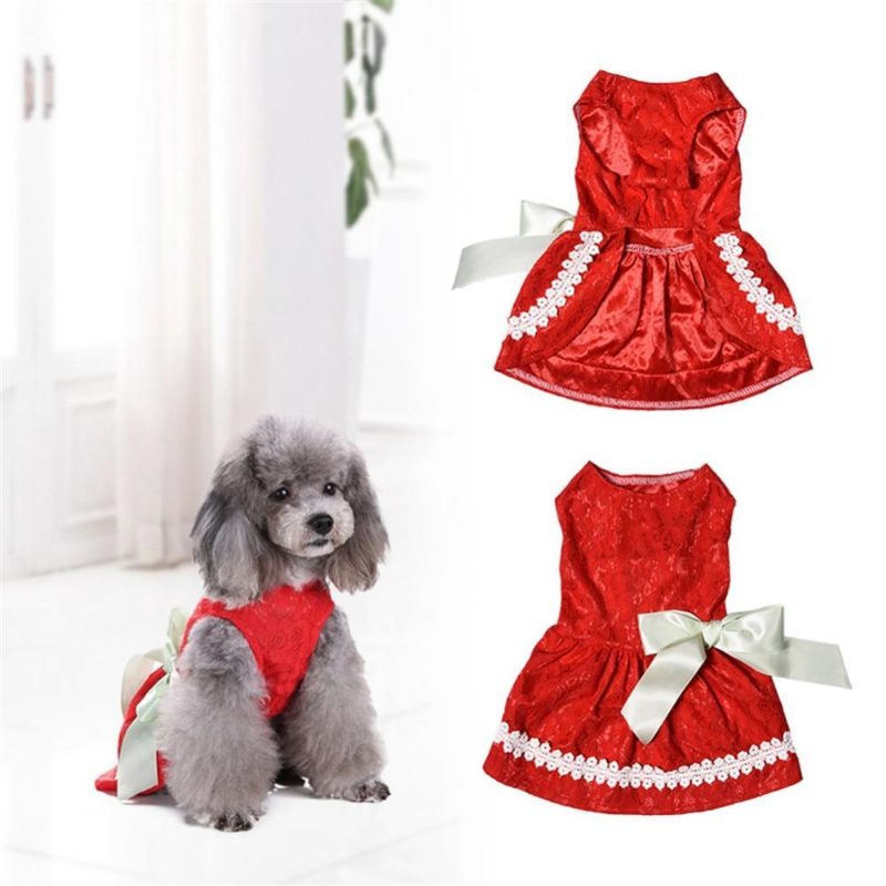 Belle Robe De Princesse Pour Animaux De Compagnie