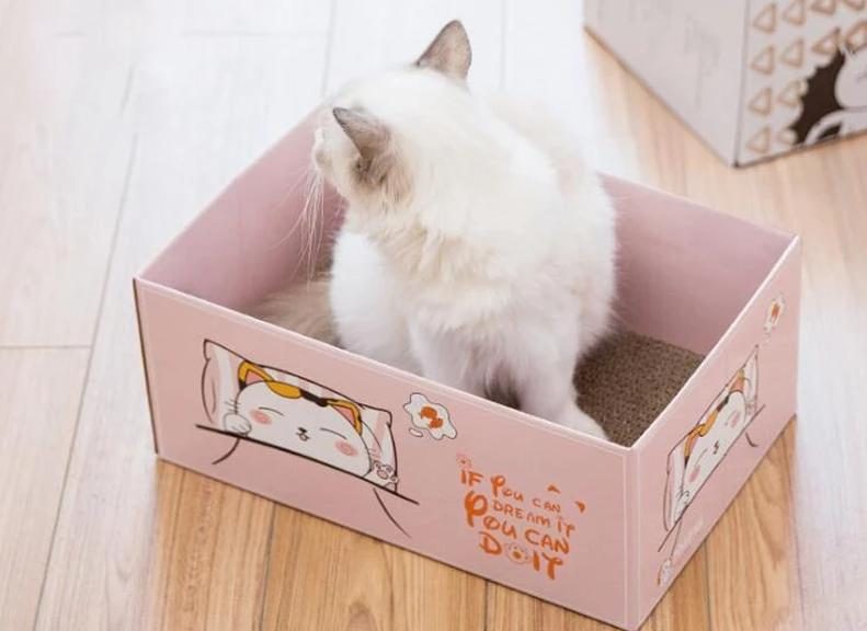 Boîte De Jeu Pliable Pour Chat