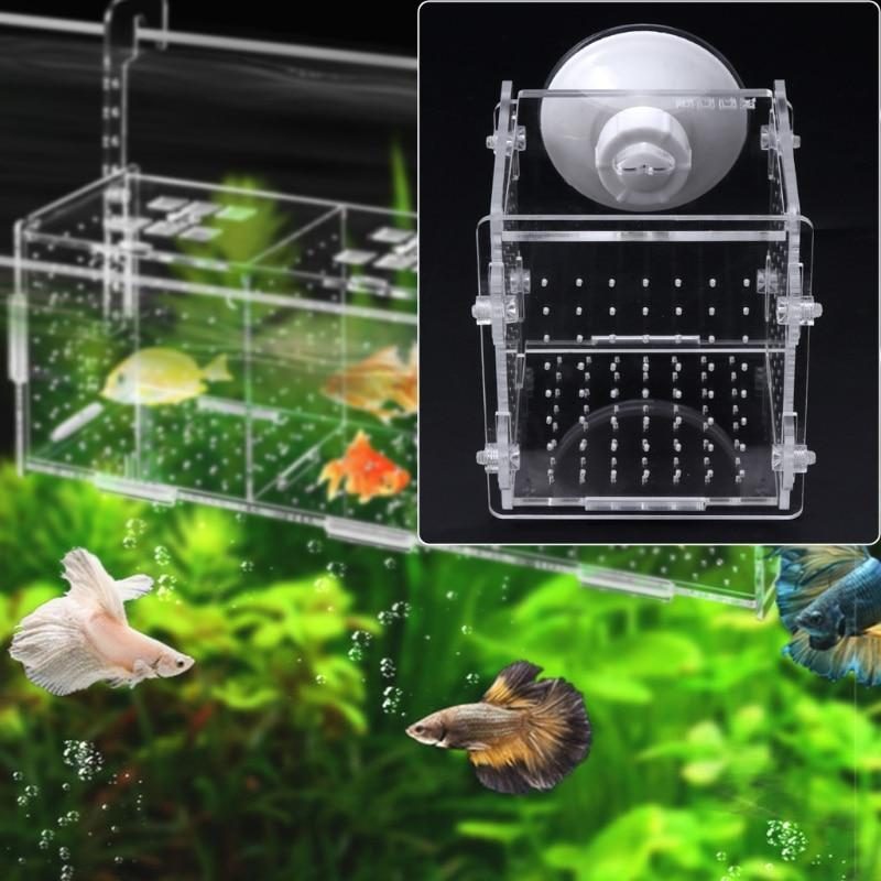 Boîte D'isolement D'élevage De Poissons D'aquarium