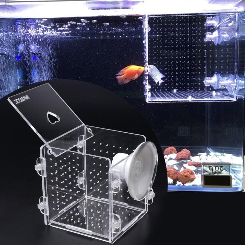 Boîte D'isolement D'élevage De Poissons D'aquarium