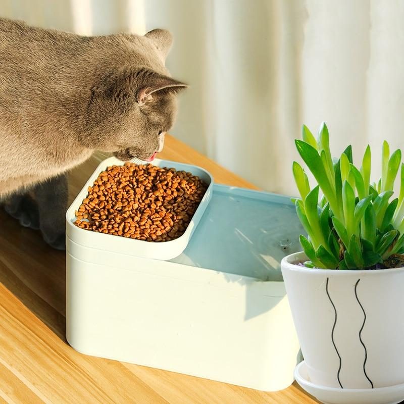 Bol À Boire Pour Fontaine À Alimentation Automatique