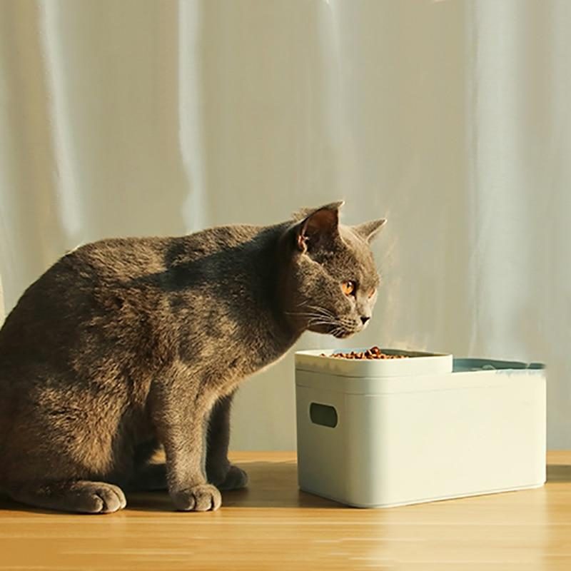 Bol À Boire Pour Fontaine À Alimentation Automatique