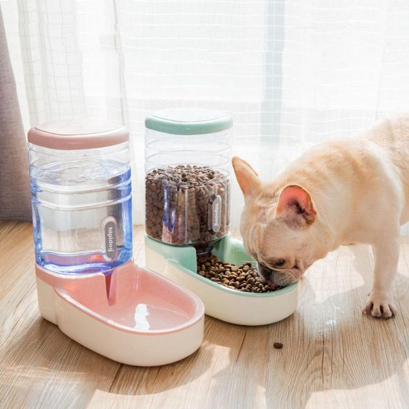 Bol Et Mangeoire Automatique Pour Animaux De Compagnie