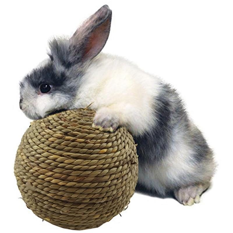 Boule D'herbe De Lapin Pour Le Nettoyage Dentaire