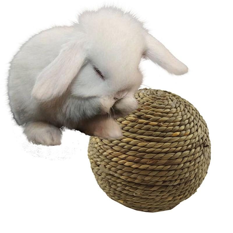 Boule D'herbe De Lapin Pour Le Nettoyage Dentaire