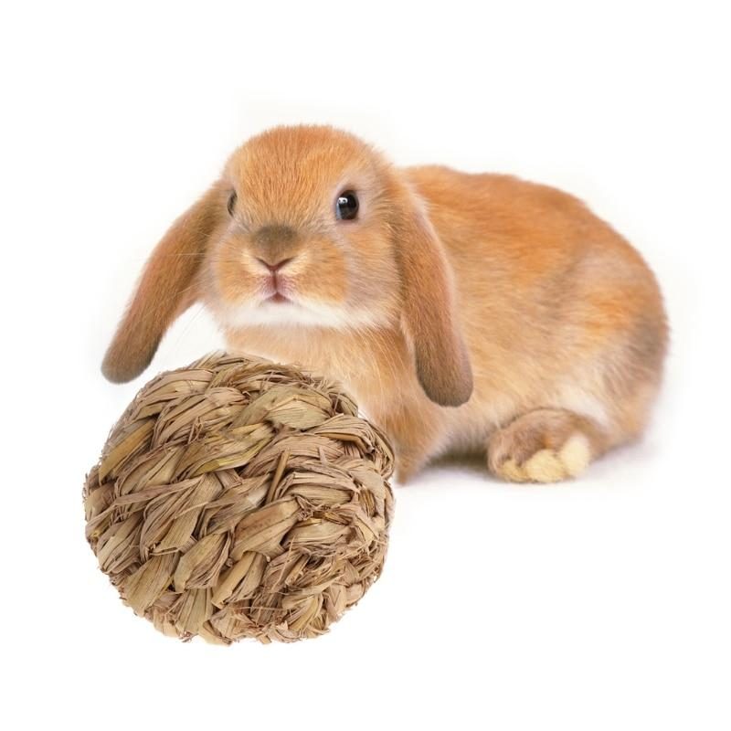 Boule D'herbe Tissée De Lapin Avec Jouet À Mâcher