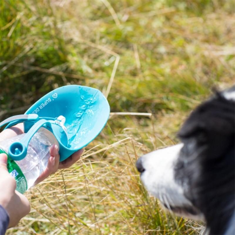 Bouteille D'eau Portable Pour Animaux De Compagnie