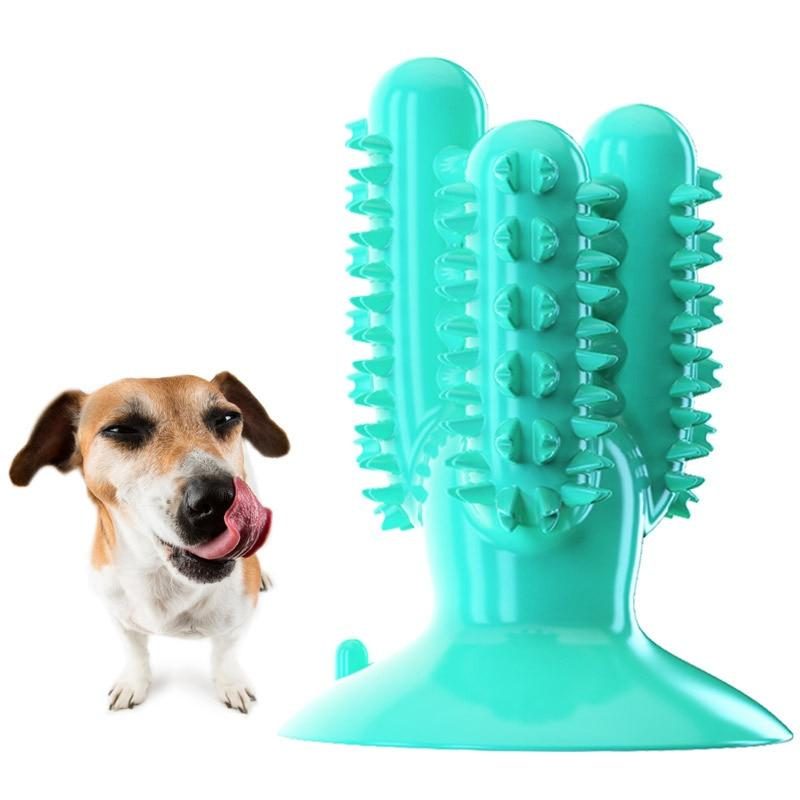 Brosse À Dents De Jouets À Mâcher Pour Chiens Multiples