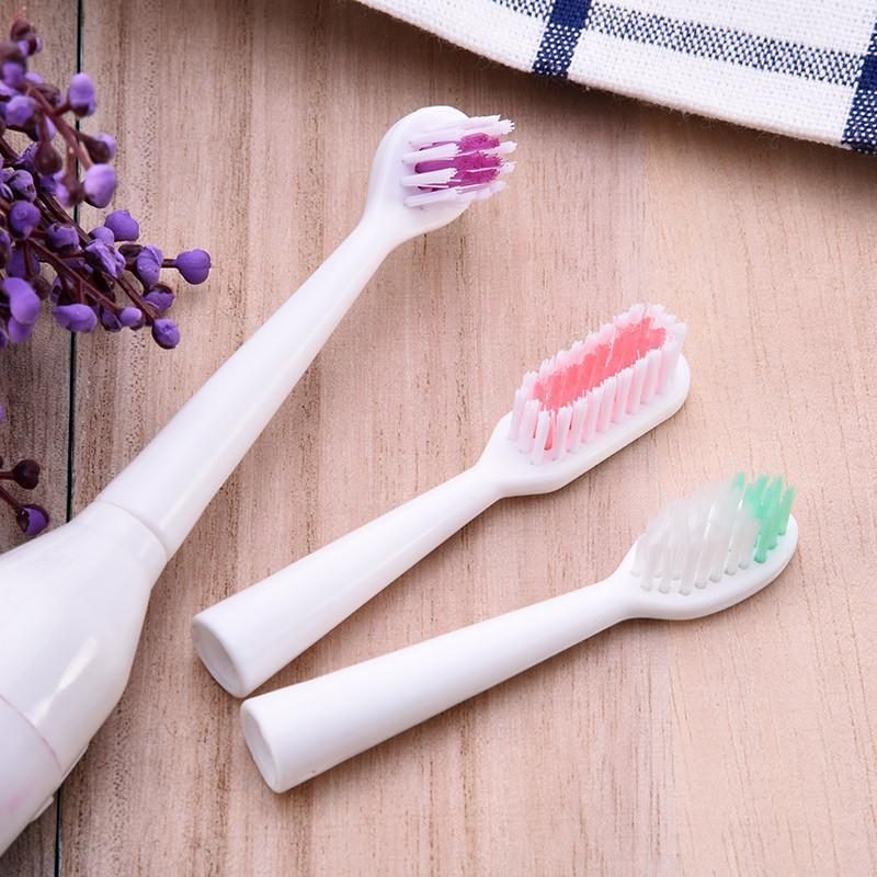 Brosse À Dents Électrique Pour Animaux De Compagnie Avec Têtes De Brosse Supplémentaires