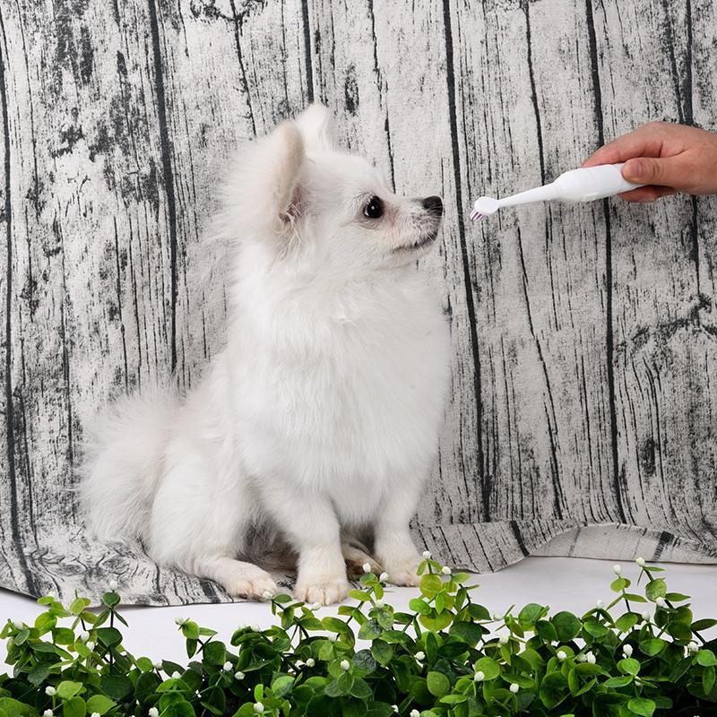 Brosse À Dents Électrique Pour Animaux De Compagnie Avec Têtes De Brosse Supplémentaires