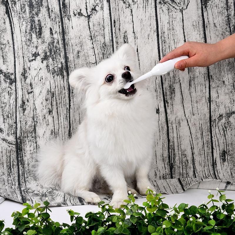 Brosse À Dents Électrique Pour Animaux De Compagnie Avec Têtes De Brosse Supplémentaires