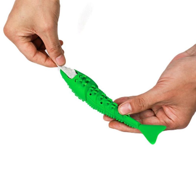 Brosse À Dents En Forme De Poisson Avec Cataire