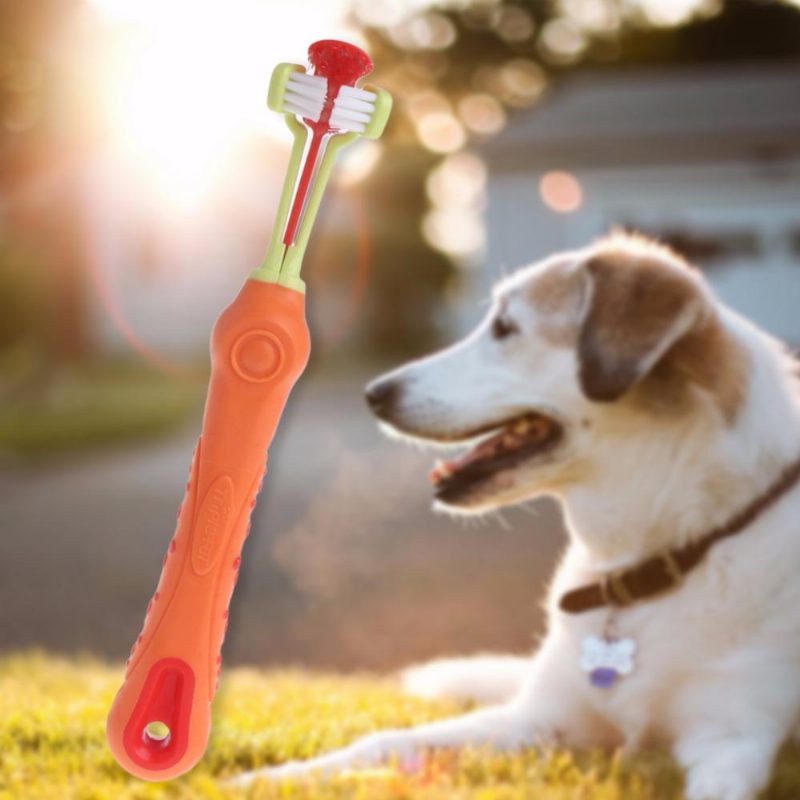 Brosse À Dents Pour Animaux De Compagnie À Trois Soies