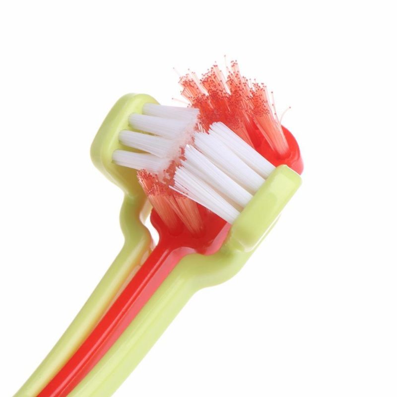 Brosse À Dents Pour Animaux De Compagnie À Trois Soies