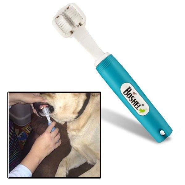 Brosse À Dents Pour Chien