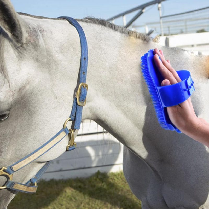 Brosse De Massage Lustrante Pour Cheveux De Cheval