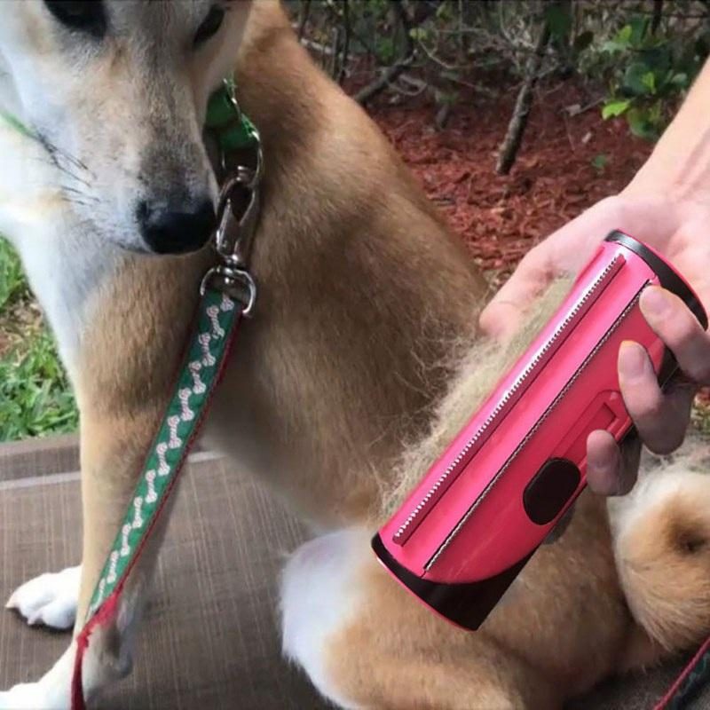 Brosse D'outil De Tondeuse D'animal Familier