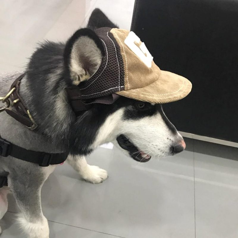 Casquette De Baseball Respirante Pour Animaux De Compagnie