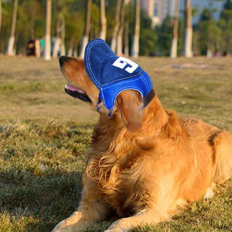 Casquette De Baseball Respirante Pour Chien Mignon Avec Trous D'oreille