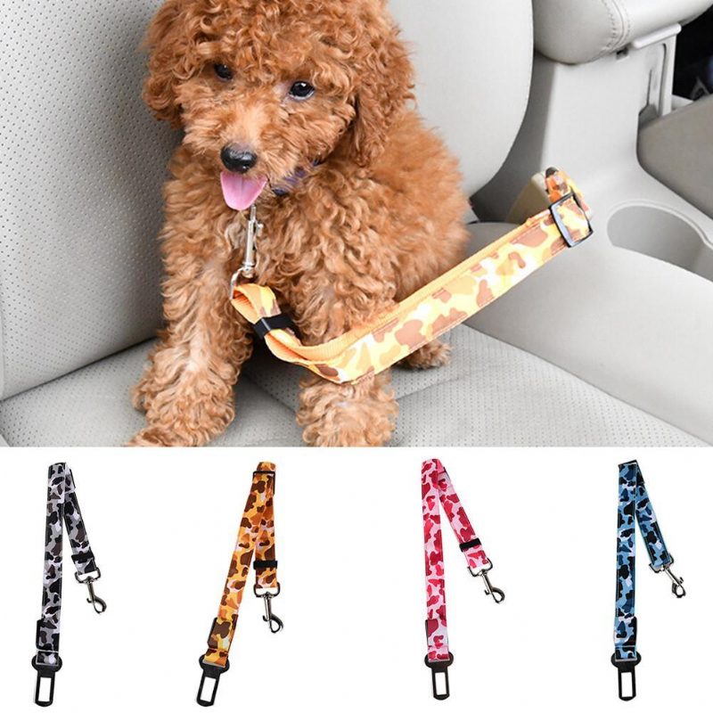 Ceinture De Sécurité Rechargeable Pour Chien