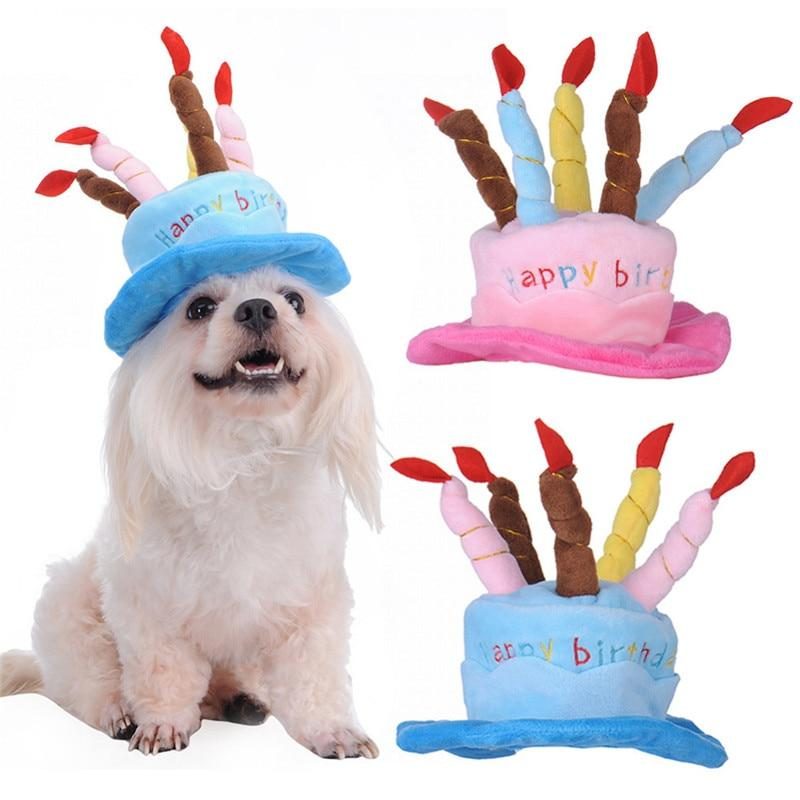 Chapeau D'anniversaire Pour Animaux De Compagnie