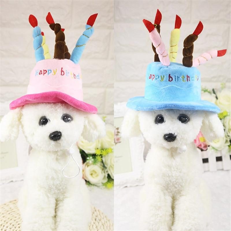 Chapeau D'anniversaire Pour Animaux De Compagnie