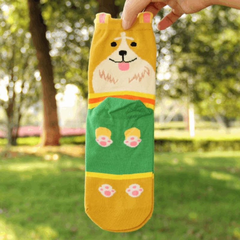 Chaussettes De Couple De Chien De Dessin Animé