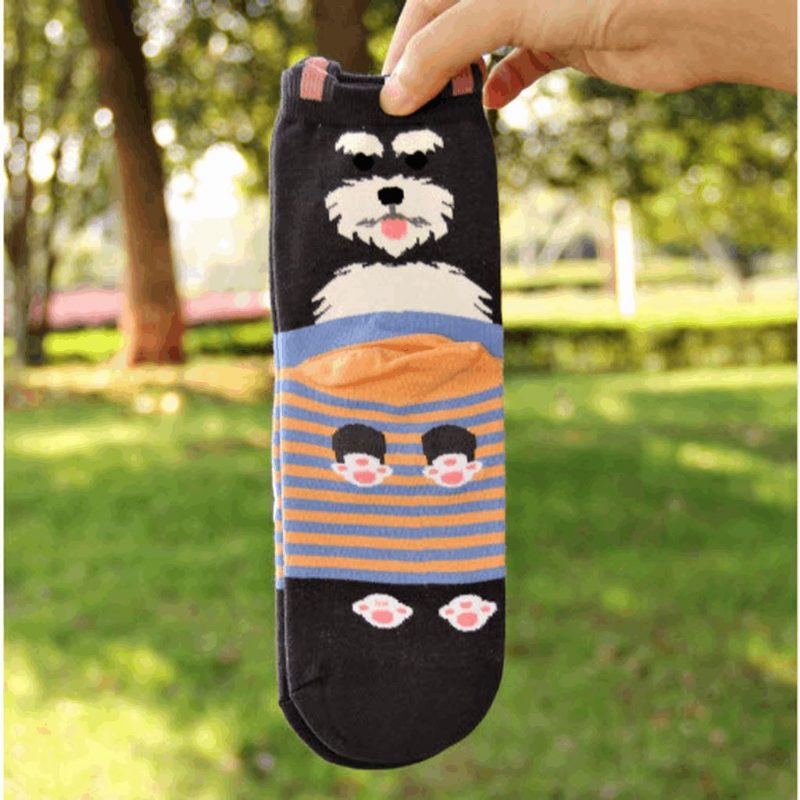 Chaussettes De Couple De Chien De Dessin Animé