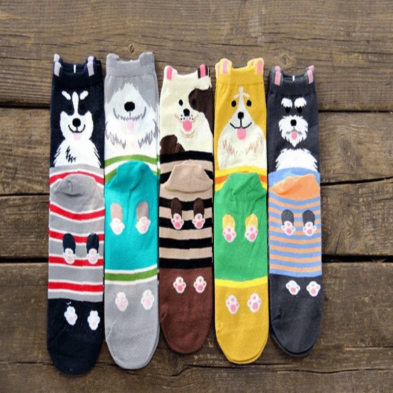 Chaussettes De Couple De Chien De Dessin Animé