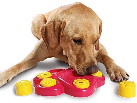 Chien Jeux Interactifs Puzzle Jouets Distributeur De Nourriture