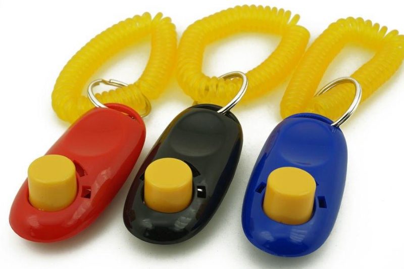 Clicker Pour Dresseur D'oiseaux