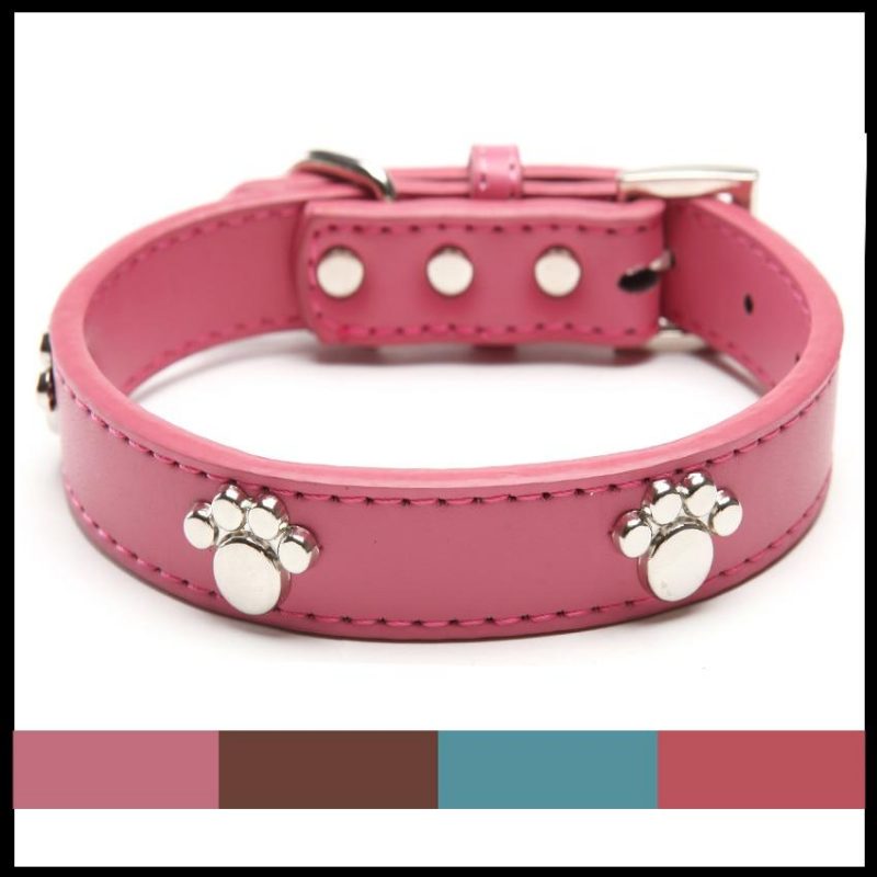 Clous De Patte En Cuir Colliers Pour Animaux De Compagnie