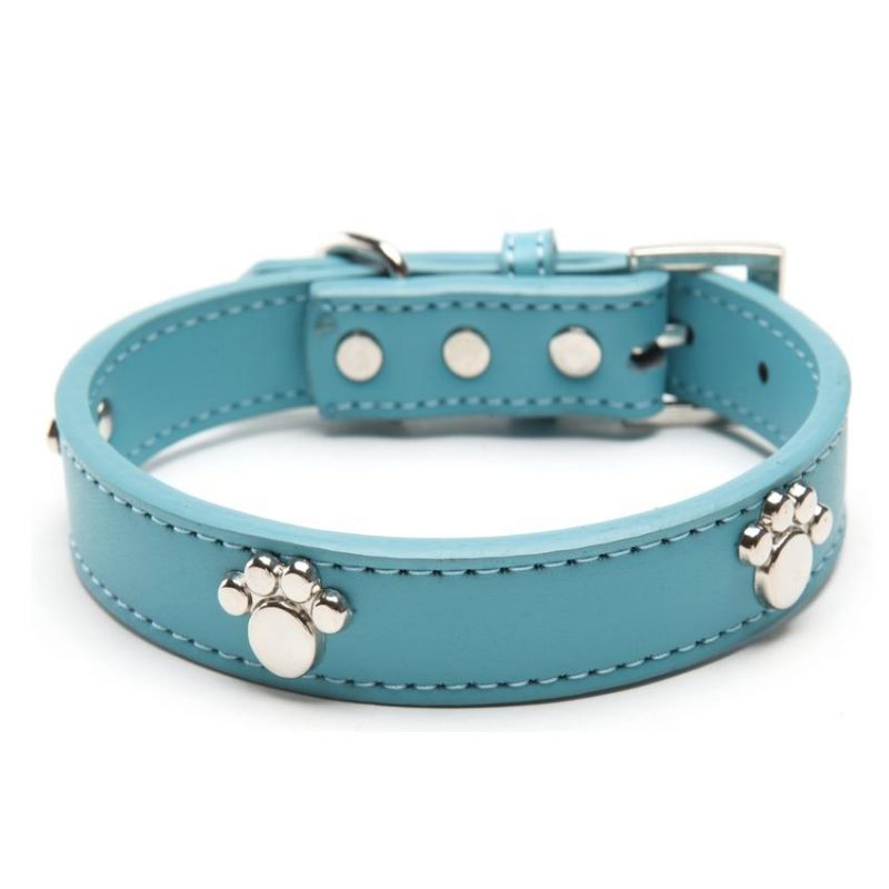 Clous De Patte En Cuir Colliers Pour Animaux De Compagnie