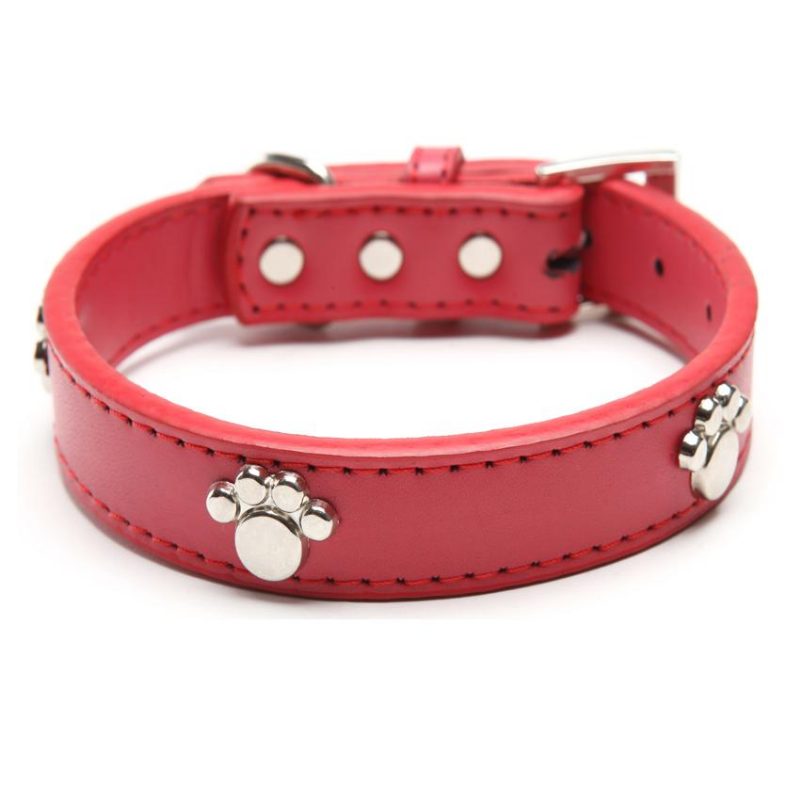 Clous De Patte En Cuir Colliers Pour Animaux De Compagnie