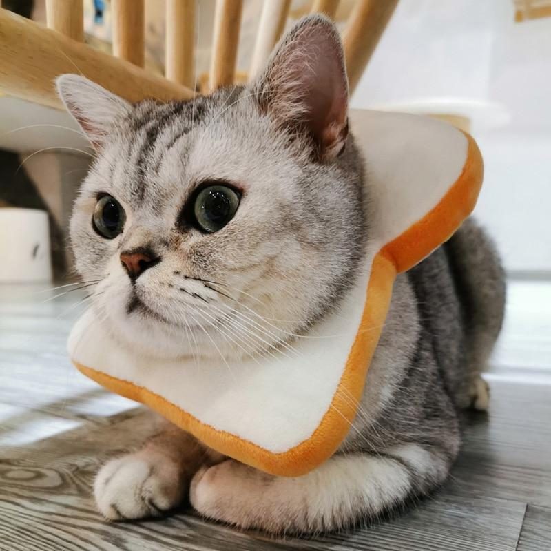 Collier De Chat Toast